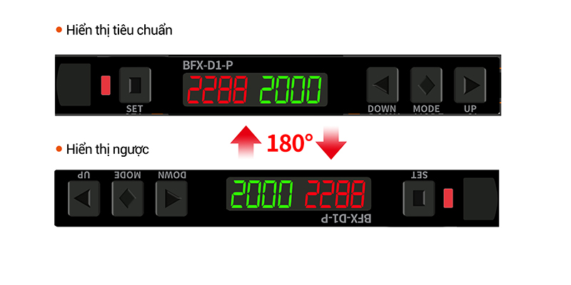 Hiển thị ngược BFX