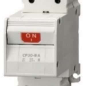 Thiết bị bảo vệ mạch CP30-BA 2P